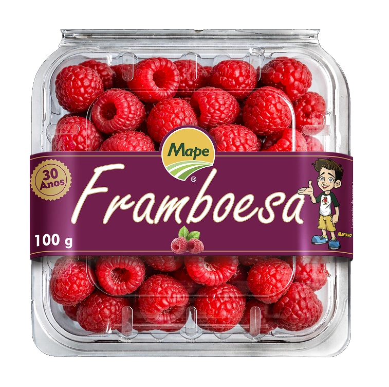 Framboesa Congelada
